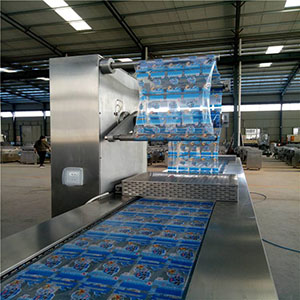 Thermoforming Vacuum Packing Machine overview